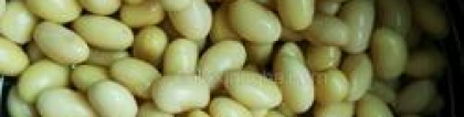 黄豆炖排骨的做法：黄豆炖排骨